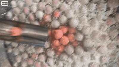 5bfe0ff82a167.gif 肉丸機.gif